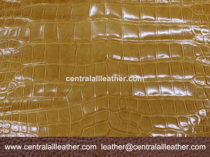 What is the difference between crocodile skin and alligator skin