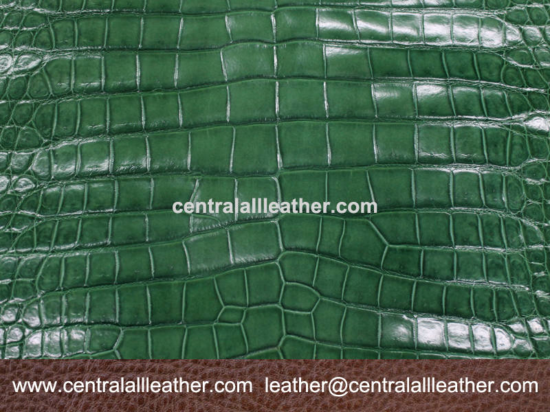 Alligator Skin Belly Matte Green