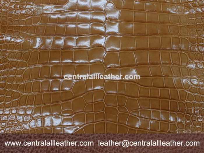 Crocodile Belly Skins